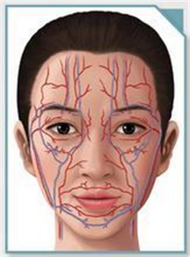 面部这么多血管,不是谁都可以随便注射的,需要医生非常熟悉面部
